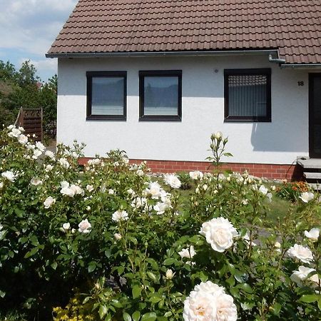 Fewo Am Sassenberg Blankenburg  Bagian luar foto