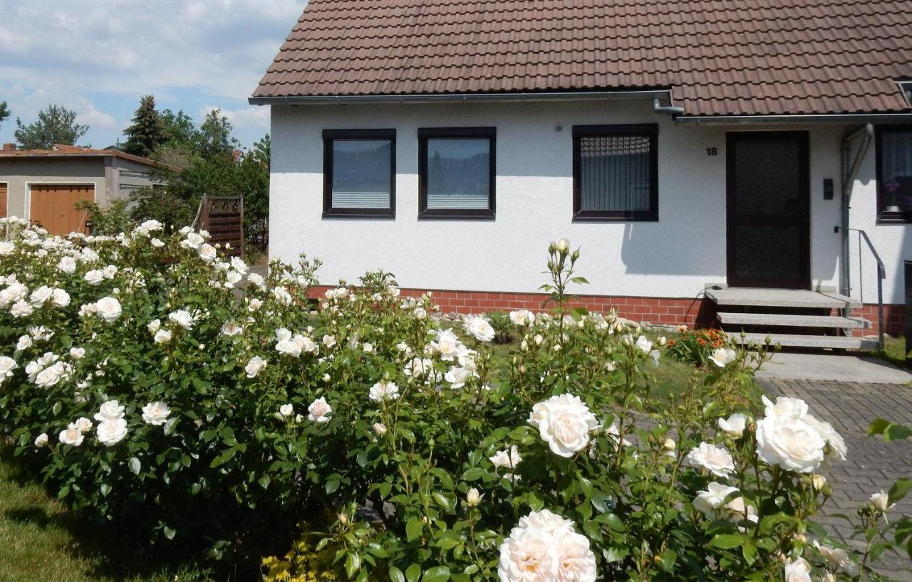 Fewo Am Sassenberg Blankenburg  Bagian luar foto
